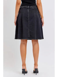 Gabi Denim Pleated Skirt