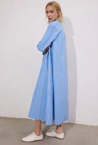 The Essential Shirtdress