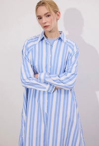 The Essential Shirtdress